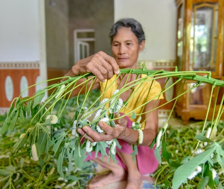 bà Nguyễn Thị Như, 65 tuổi, cho hay.