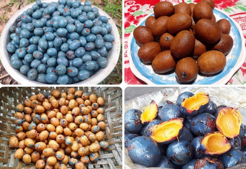 Quả cọ chế biến được nhiều món ăn ngon. Sau khi mua về, cọ thường được chà trong rổ tre cho bong hết vỏ, ngâm nước lã vài tiếng đồng hồ mới bỏ vào nồi om hoặc muối trong vại sành, bình thủy tinh. Cọ muối để cả vỏ thì cất được lâu hơn. Cọ chín mềm vị béo ngậy, mùi thơm đặc trưng, có thể chiên xào hoặc chấm với nước tương, với mắm chua đều hấp dẫn. Ảnh: Huy Thư