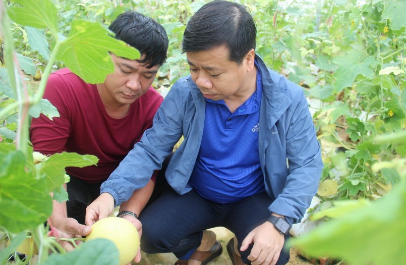 Trang trại Đồi Chồi là mô hình nông nghiệp theo hướng công nghệ cao đầu tiên trên vùng đất này.