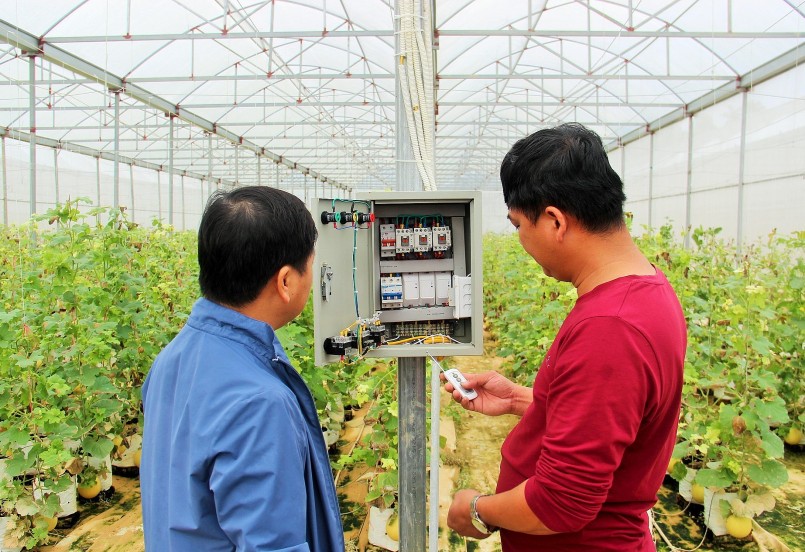 Công nghệ, hệ thống tưới hiện đại tại trang trại Bud Hill Farm. Ảnh: Hoàng Vĩnh