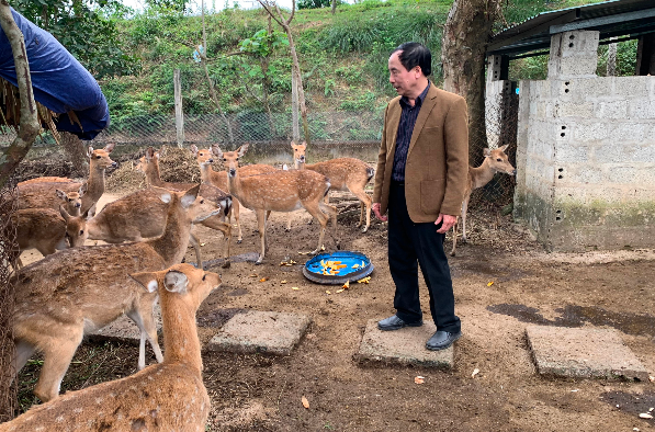 Nuôi con ăn rau rừng, uống nước lã, bán 400.000 đồng/kg thu lãi hàng trăm triệu