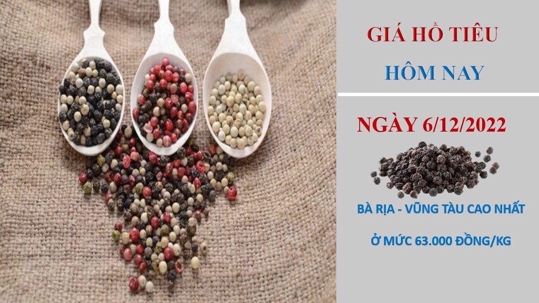 Giá hồ tiêu hôm nay 6/12/2022: Thị trường hồ tiêu vẫn còn nhiều thách thức