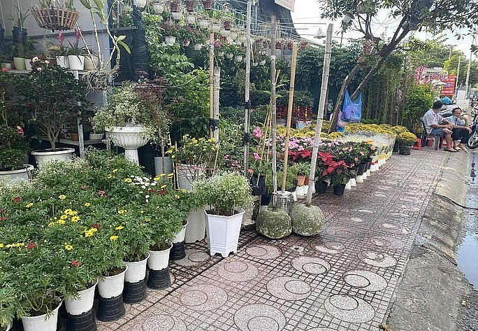 Thị trường hoa kiểng Tết thời điểm này vẫn ảm đạm. (Ảnh minh họa) Thị trường hoa kiểng Tết thời điểm này vẫn ảm đạm. (Ảnh minh họa)