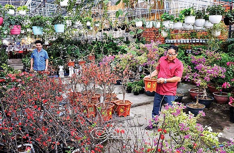 Trái với mọi năm, thời điểm này thị trường hoa kiểng Tết vẫn chưa sôi động. (Ảnh minh họa). Trái với mọi năm, thời điểm này thị trường hoa kiểng Tết vẫn chưa sôi động. (Ảnh minh họa).