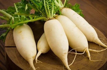 Người trồng mách nước chọn “nhân sâm mùa đông” vừa chất lượng vừa ngon, ai không tin chỉ có thiệt