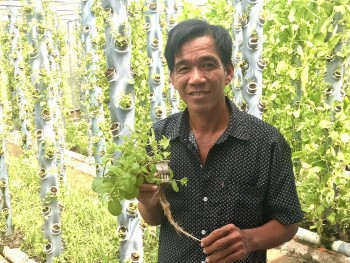 "Ôm" 20 triệu đồng mua trụ đứng về trồng rau, ông nông dân bất ngờ có vườn rau tiền tỷ