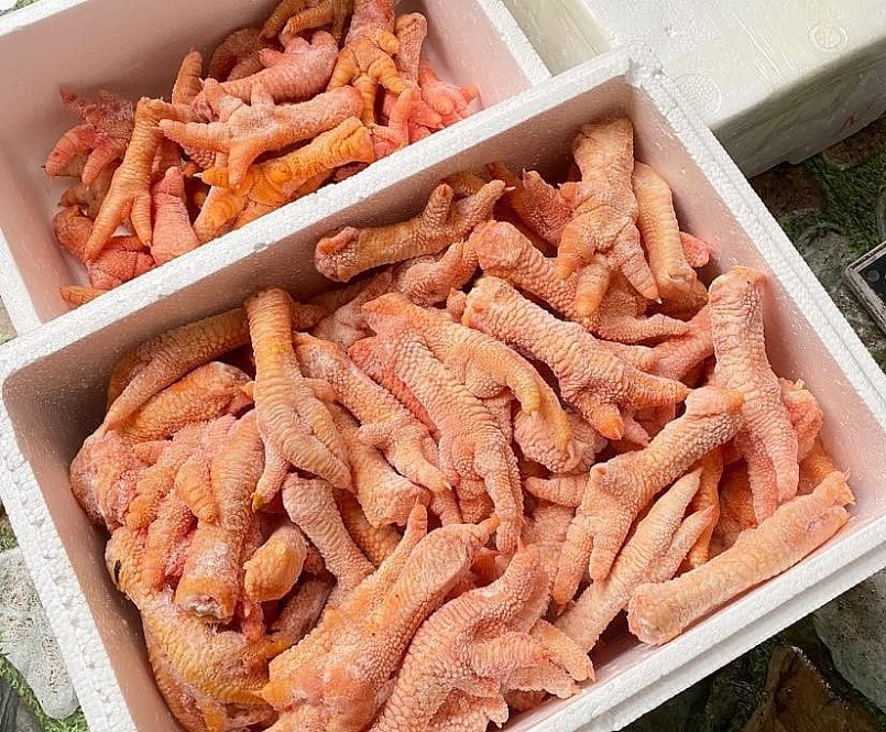 Những chiếc chân gà Đông Tảo cung cấp trên thị trường chủ yếu là chân gà nhỏ, vừa. Những chân gà Đông Tảo khổng lồ rất hiếm.