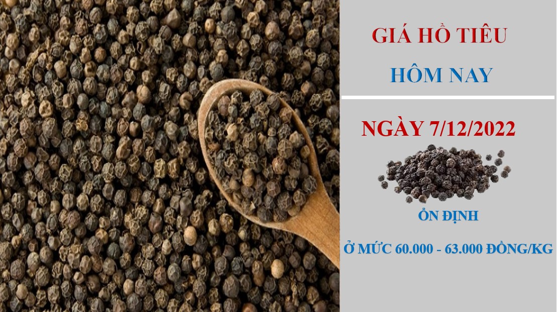 Giá hồ tiêu hôm nay 7/12/2022: Hàng tồn kho giảm, giá tiêu sẽ dần phục hồi