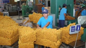 Xuất khẩu cao su đạt gần 3 tỷ USD sau 11 tháng