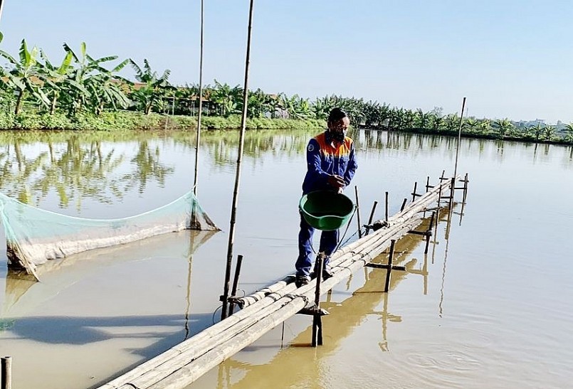 Diện tích trang trại được tận dụng nuôi những loài thủy sản đặc sản nên đem lại hiệu quả kinh tế cao.