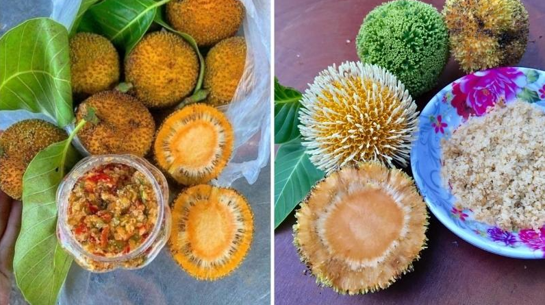 Loại quả quê xưa làm hàng rào, nay là đặc sản ngon nức tiếng 120.000đồng/kg