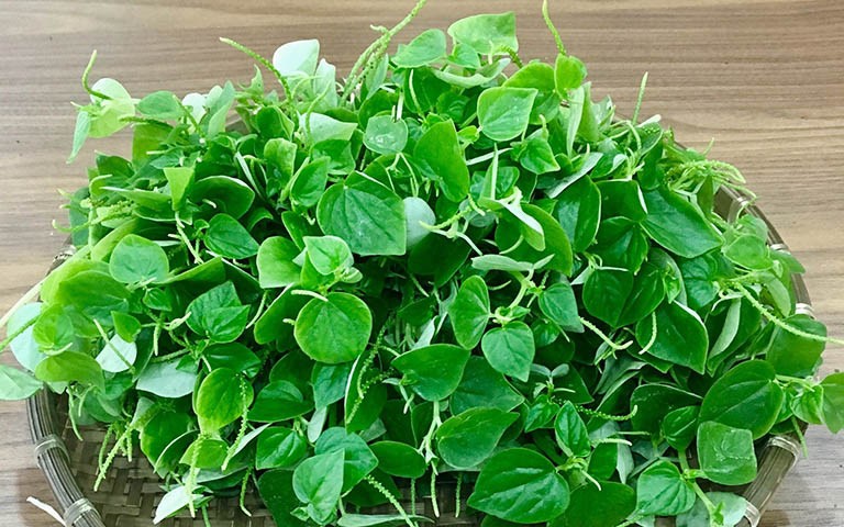 Những loại rau dại xưa nhà nghèo mới ăn, nay đi chuyên cơ ra phố thành đặc sản đắt hơn thịt lợn