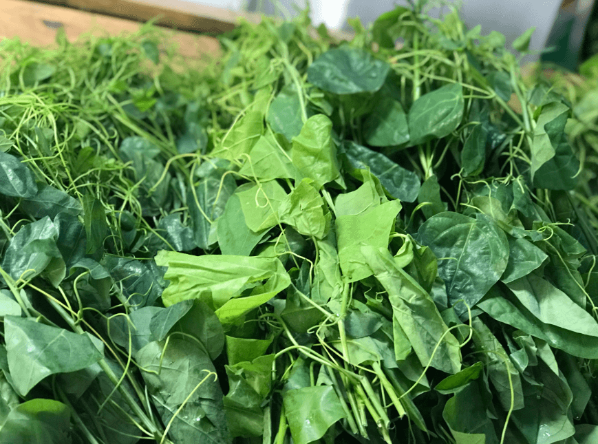 Những thứ rau dại xưa nhà nghèo mới ăn, nay đi chuyên cơ ra phố thành đặc sản đắt khách