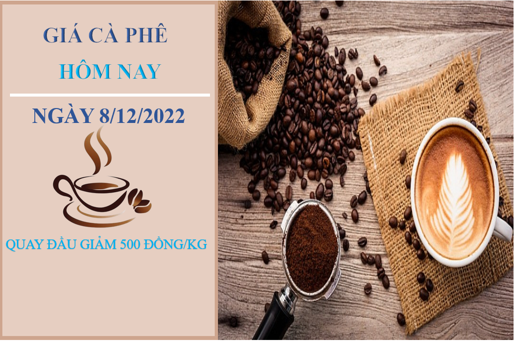 Giá cà phê hôm nay 8/12/2022: Quay đầu giảm sau chuỗi ngày tăng