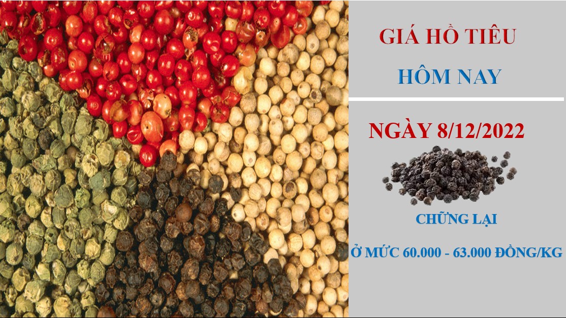 Giá hồ tiêu hôm nay 8/12/2022: Thị trường lạc quan nhờ Trung Quốc tăng nhập