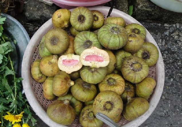 Loại quả đặc sản ở quê giá rẻ như cho, lên thành phố 200.000đồng/kg chị em tranh nhau mua