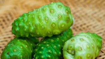 Trái gì xấu lạ nhưng hương vị vô cùng đặc trưng khiến ai ăn một lần cũng nghiện luôn