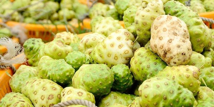 Trái gì xấu lạ nhưng hương vị vô cùng đặc trưng khiến ai ăn một lần cũng nghiện luôn