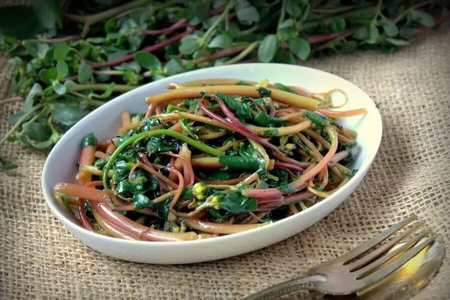 Rau sam nhiều nơi bỏ đi nhưng lại là dược liệu quý chữa viêm đại tràng, viêm da và lao phổi