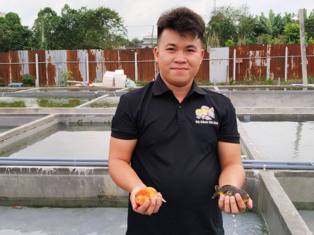 Chàng trai cho rằng cá có thể cảm nhận được tình cảm của người nuôi, trở nên quấn chủ nếu gần gũi Chàng trai cho rằng cá có thể cảm nhận được tình cảm của người nuôi, trở nên quấn chủ nếu gần gũi