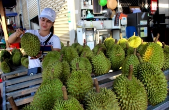 Nhân rộng mã số vùng trồng sầu riêng, Đồng Nai tạo đột phá khi doanh nghiệp bắt tay với nông dân