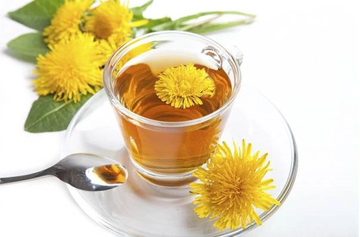 trà hoa bồ công anh