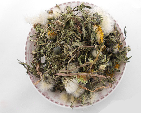 bồ công anh đào thải độc tố, ức chế ung thư