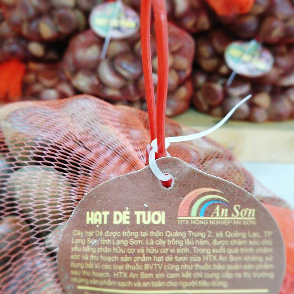 Sản phẩm hạt dẻ tươi An Sơn
