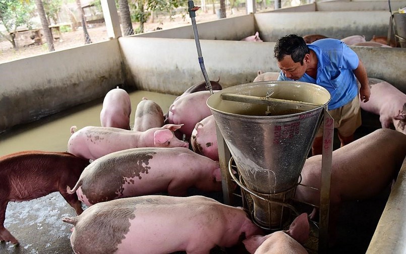 Giá heo hơi hôm nay (9/12) miền Bắc tăng nhẹ, nơi khác chững gia. Diễn biến thị trường heo hơi rất ảm đạm khi sức mua chậm chạp. 