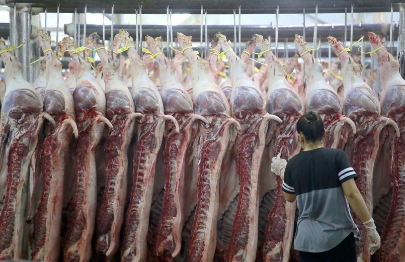 Sức tiêu thụ thịt heo trong nước chậm khiến giá heo hơi không còn động lực tăng vào dịp cuối năm.
