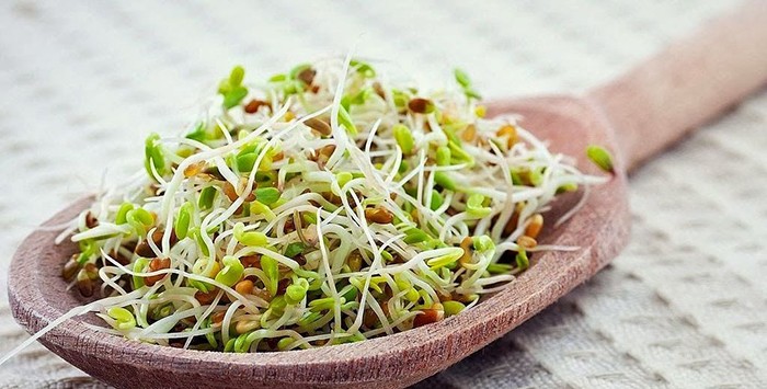 Thứ rau này “nhỏ mà có võ” người Nhật rất mê, người Việt ít biết, ngừa tới 8 bệnh ung thư Thứ rau này “nhỏ mà có võ” người Nhật rất mê, người Việt ít biết, ngừa tới 8 bệnh ung thư