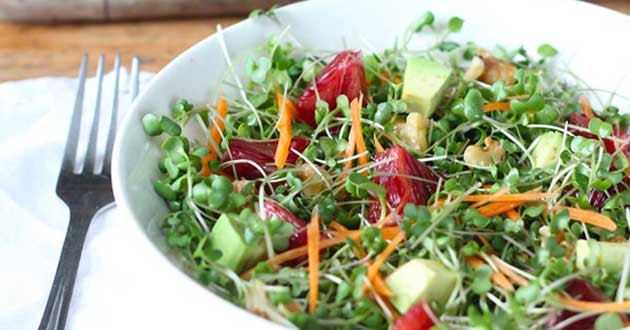 Thứ rau này “nhỏ mà có võ” người Nhật rất mê, người Việt ít biết, ngừa tới 8 bệnh ung thư Thứ rau này “nhỏ mà có võ” người Nhật rất mê, người Việt ít biết, ngừa tới 8 bệnh ung thư