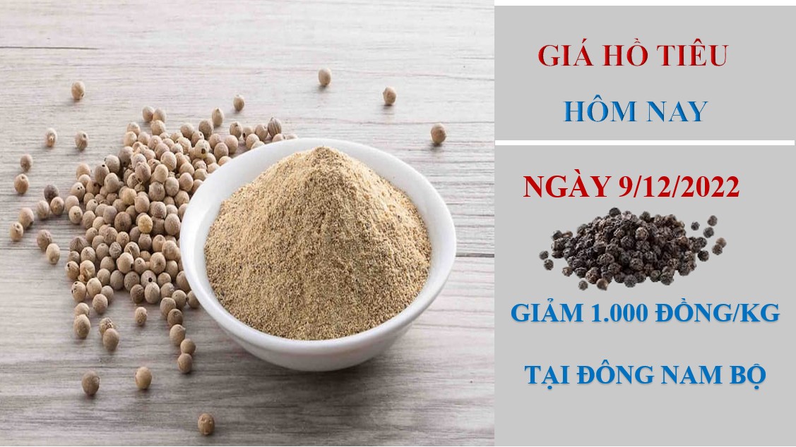 Giá hồ tiêu hôm nay 9/12/2022: Giảm 1.000 đồng/kg tại Đông Nam bộ