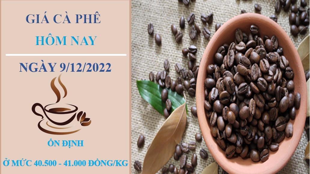 Giá cà phê hôm nay 9/12/2022: Không ghi nhận biến động mới