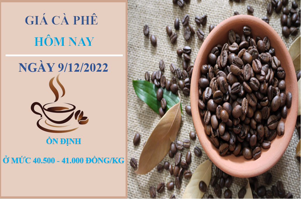 Giá cà phê hôm nay 9/12/2022: Giá cà phê hôm nay 9/12/2022: