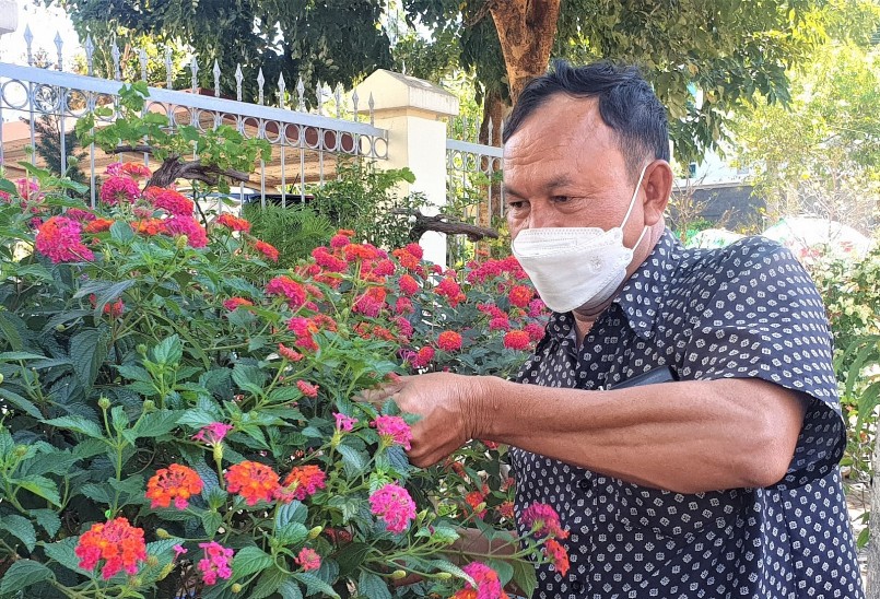 Ông Đoàn Văn Đức đã kỳ công tạo nên siêu phẩm bonsai hoa ngũ sắc tuyệt đẹp từ cây dại trong rừng.