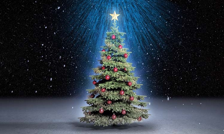 Tại sao ngày lễ Giáng sinh không thể thiếu cây thông Noel?