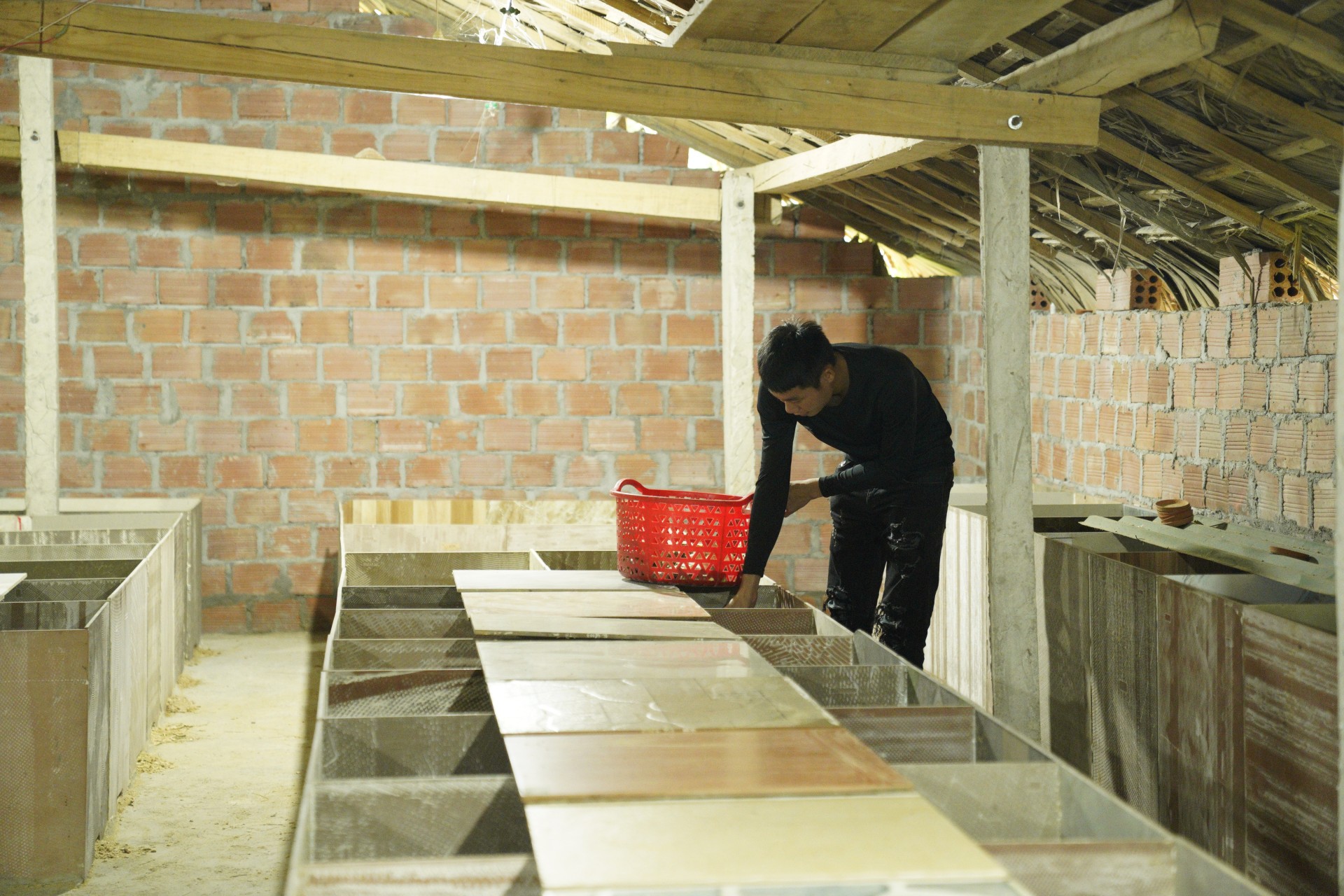 Mô hình trang trại nuôi dúi của anh Trần Đình Nhâm