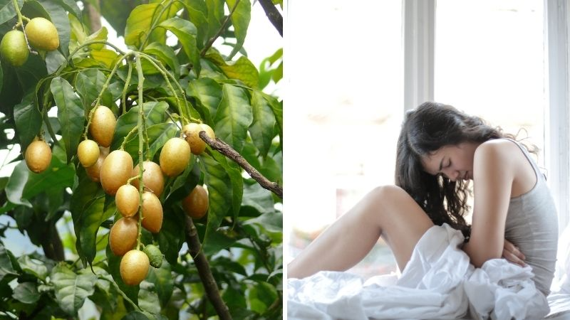 Hỗ trợ điều trị chứng đau dạ dày