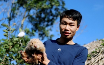 Kỳ lạ, nuôi con “bán không ai mua”, ấy vậy mà anh công nhân này vẫn có 200 triệu đút két mỗi năm