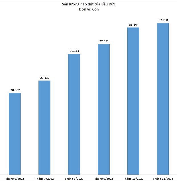 Sản lượng heo ăn chuối của Tập đoàn Hoàng Anh Gia Lai.