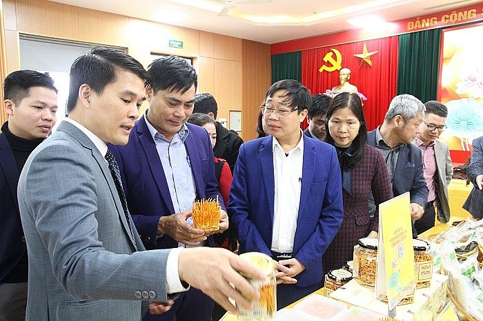 Các thành viên Hội đồng OCOP Thành phố quan sát thực tế mẫu sản phẩm Đông trùng hạ thảo tươi, khô của Hợp tác xã nông nghiệp dược liệu công nghệ cao KOVI Các thành viên Hội đồng OCOP Thành phố quan sát thực tế mẫu sản phẩm Đông trùng hạ thảo tươi, khô của Hợp tác xã nông nghiệp dược liệu công nghệ cao KOVI