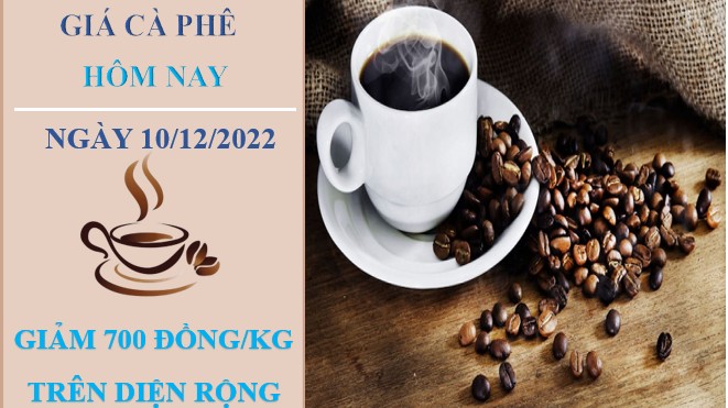Giá cà phê hôm nay 10/12/2022: Giảm 700 đồng/kg tại các địa phương