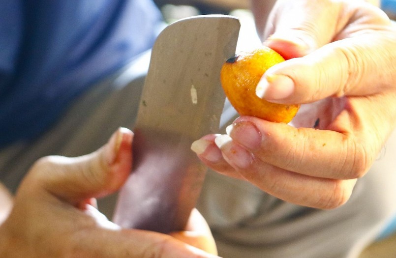 Cọ được tách bỏ hạt.