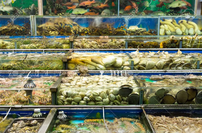 kỳ vọng tiêu thụ thuỷ sản sẽ phục hồi hoàn toàn trước dịp Tết Nguyên đán khi các nhà hàng, khách sạn mở cửa trở lại. kỳ vọng tiêu thụ thuỷ sản sẽ phục hồi hoàn toàn trước dịp Tết Nguyên đán khi các nhà hàng, khách sạn mở cửa trở lại.