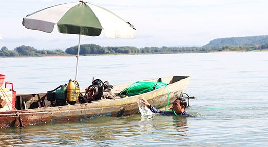 Heo hơi rớt giá thê thảm, bầu Đức vẫn thông báo lãi khủng khi bán 243 nghìn con heo
