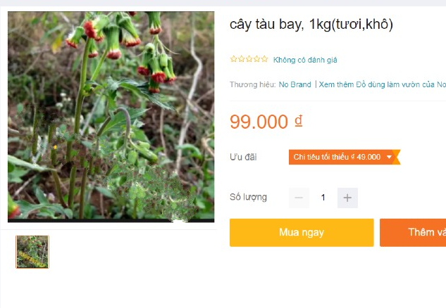 Loại rau xưa mọc đầy không thèm hái, giờ là đặc sản nức tiếng có tiền cũng khó mua Loại rau xưa mọc đầy không thèm hái, giờ là đặc sản nức tiếng có tiền cũng khó mua