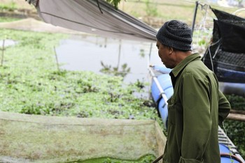 Cả làng xây nhà, mua xe nhờ nuôi con “đẻ ra tiền” này