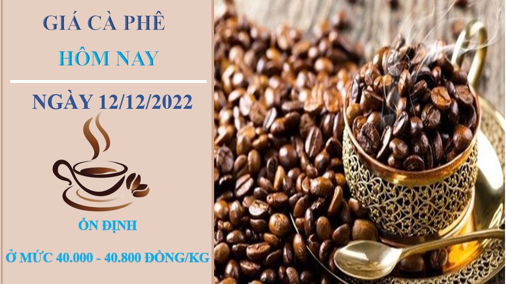 Giá cà phê hôm nay 12/12/2022: Không ghi nhận thay đổi mới