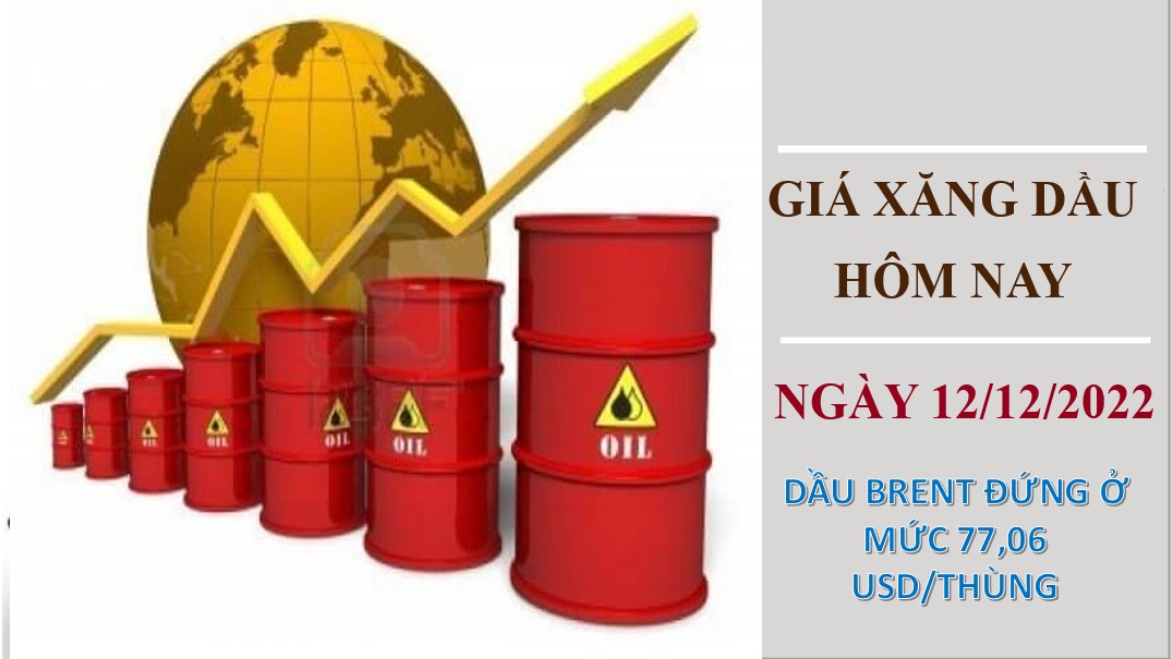 Giá xăng dầu hôm nay 12/12/2022: Giá dầu thô quay đầu tăng mạnh